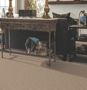 Modern Carpets